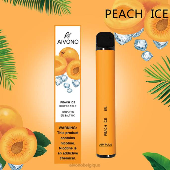 glace à la pêche