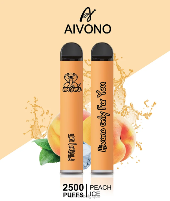 Aivono AIM SNAKE 2500 glace à la pêche - RN6J316 Aivono Belgique