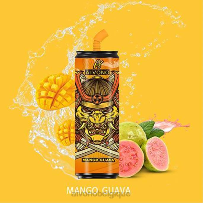 Aivono AIM WINNER 6000 bouteilles de Coca Cola mangue goyave - RN6J112 Aivono Belgique
